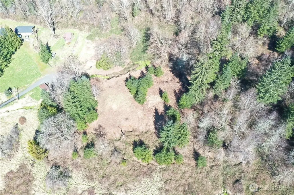 352 Larson Road Silver Creek WA 98585