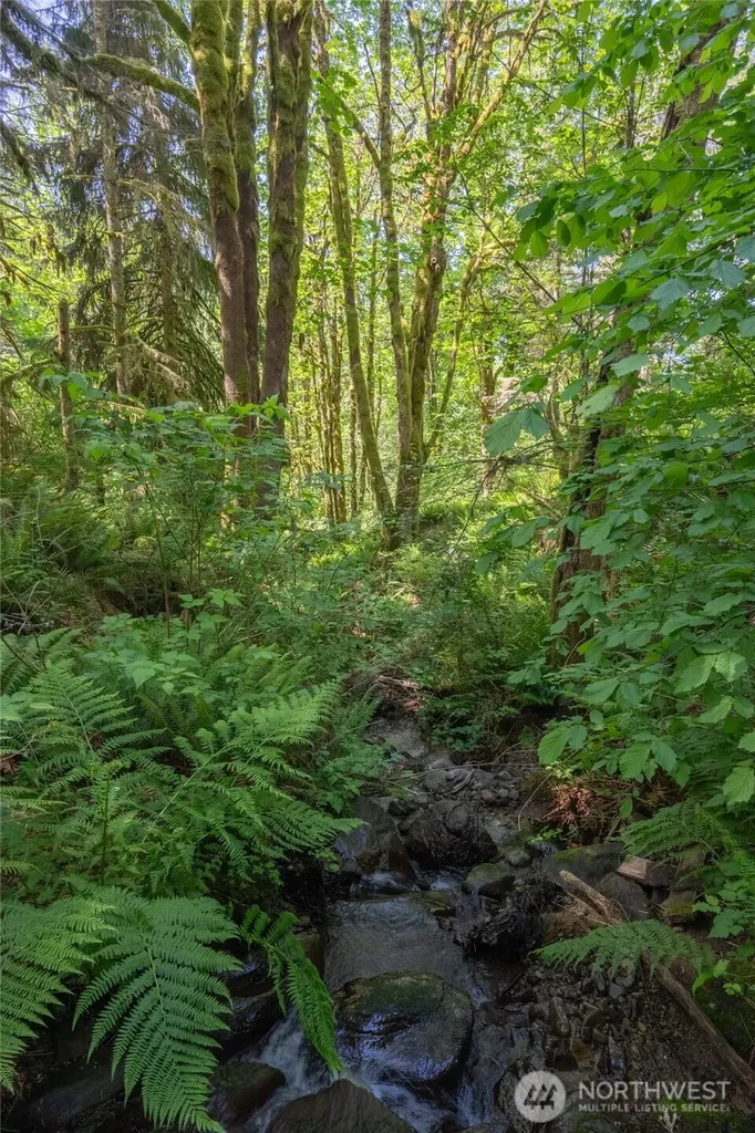 8574 Mount Baker Highway Deming WA 98244