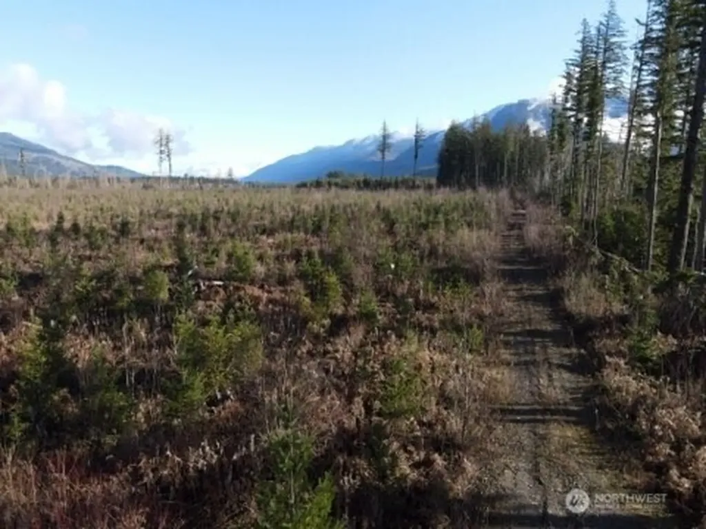 9523 Heady Road Sumas WA 98295