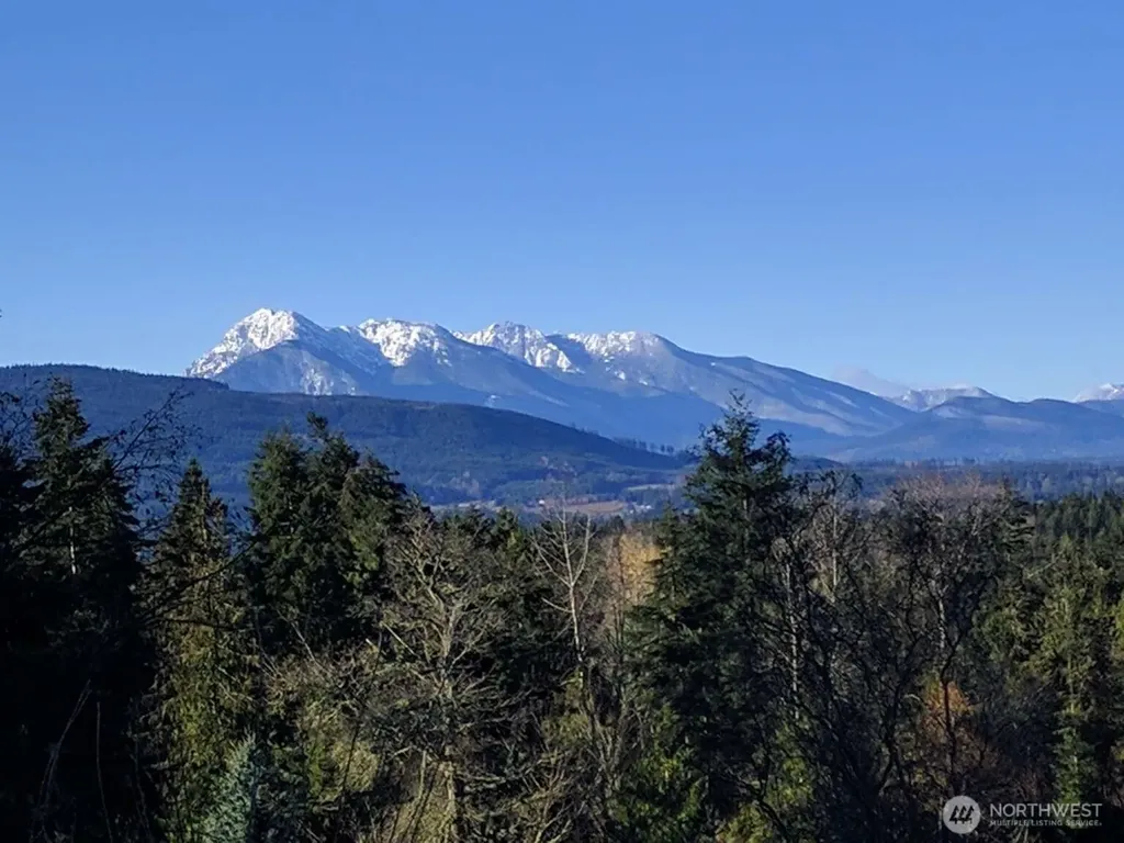 823 Fox Hollow Road Sequim WA 98382