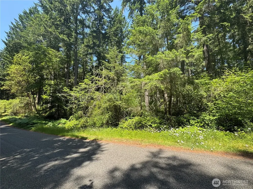 11409 Hillcrest Drive Anderson Island WA 98303