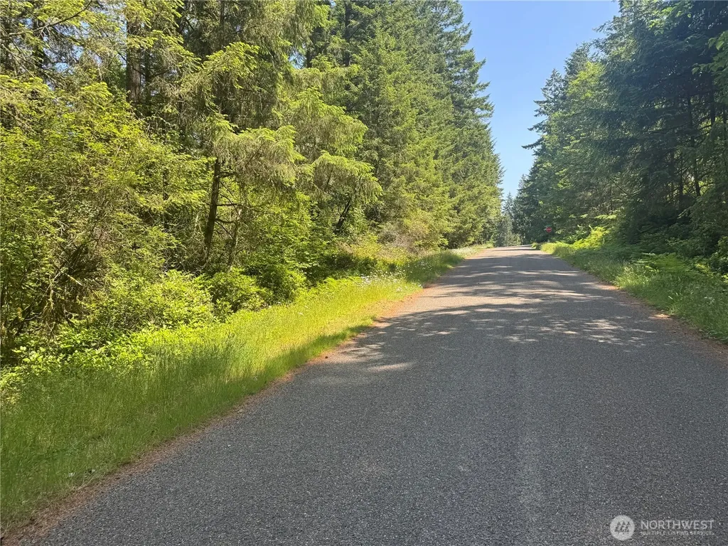 11409 Hillcrest Drive Anderson Island WA 98303