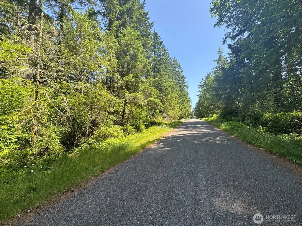 11409 Hillcrest Drive Anderson Island WA 98303