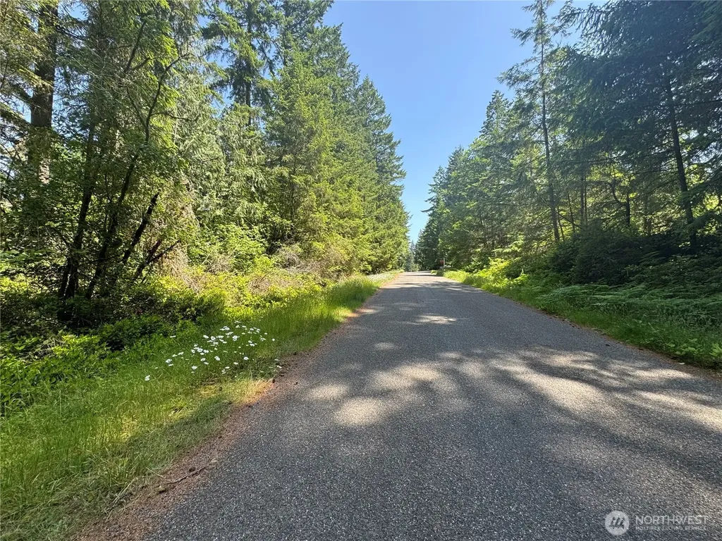 11409 Hillcrest Drive Anderson Island WA 98303