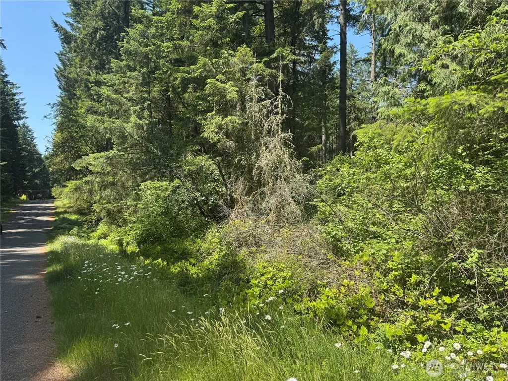 11409 Hillcrest Drive Anderson Island WA 98303
