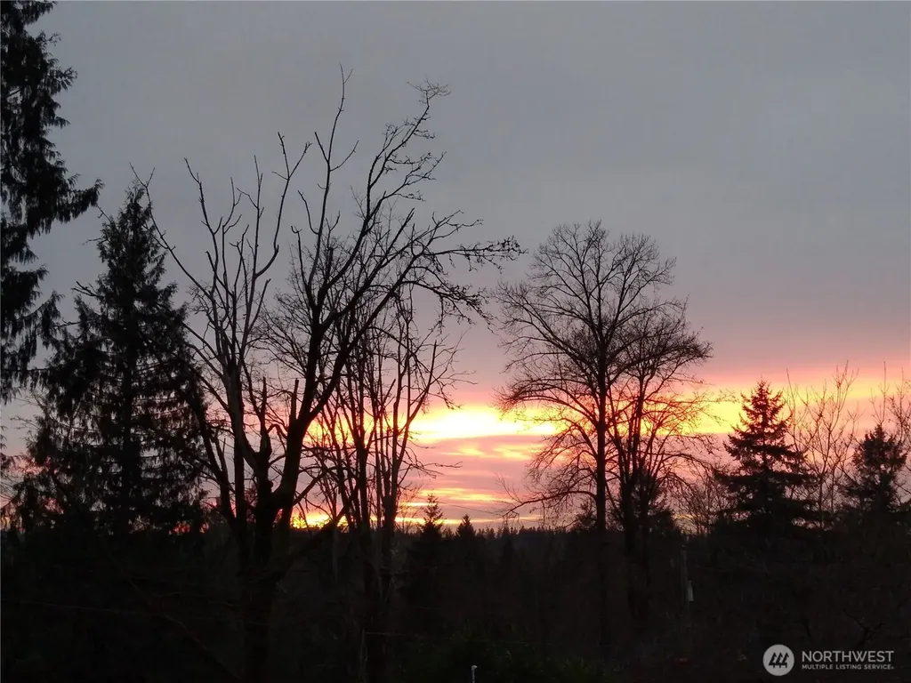 16345 Tiger Mountain Road SE Issaquah WA 98027