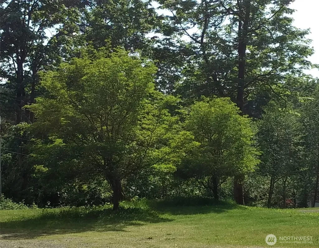 16345 Tiger Mountain Road SE Issaquah WA 98027