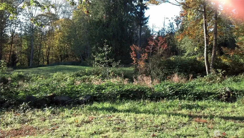 16345 Tiger Mountain Road SE Issaquah WA 98027