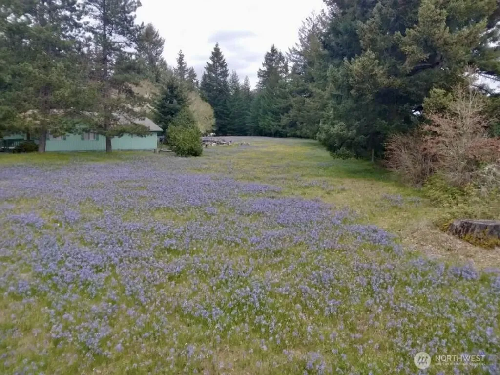 503 Centre Street N Rainier WA 98576