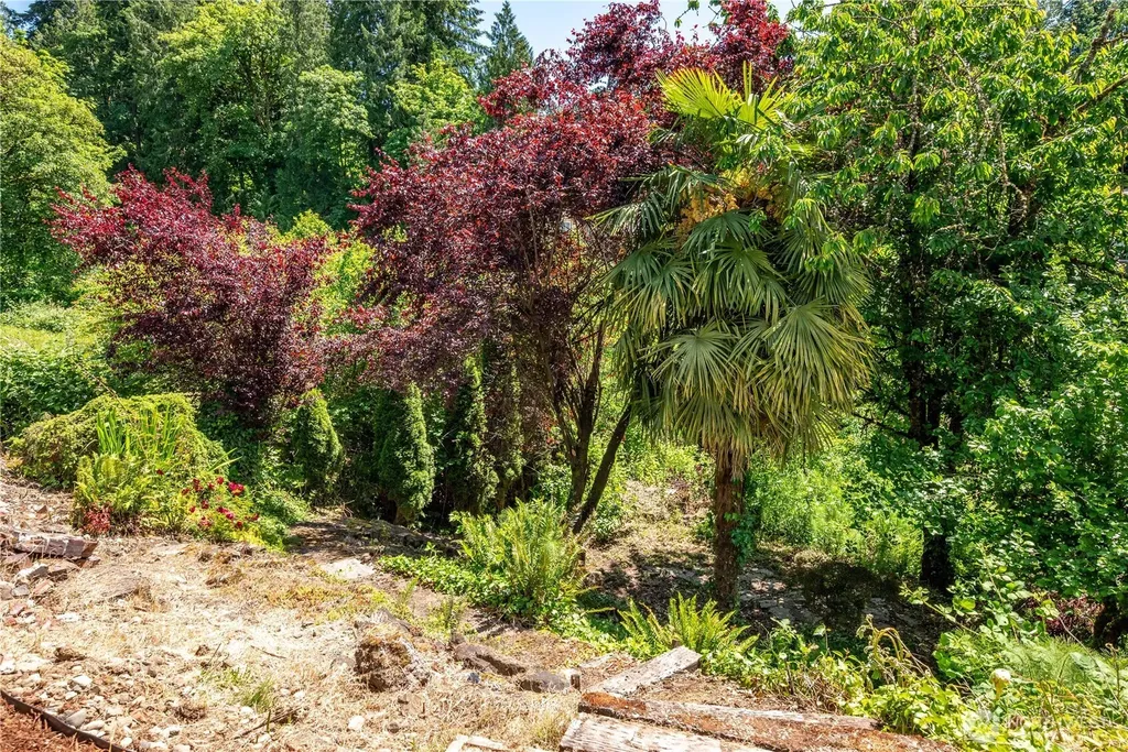 104 Cedar Falls Drive Kelso WA 98626