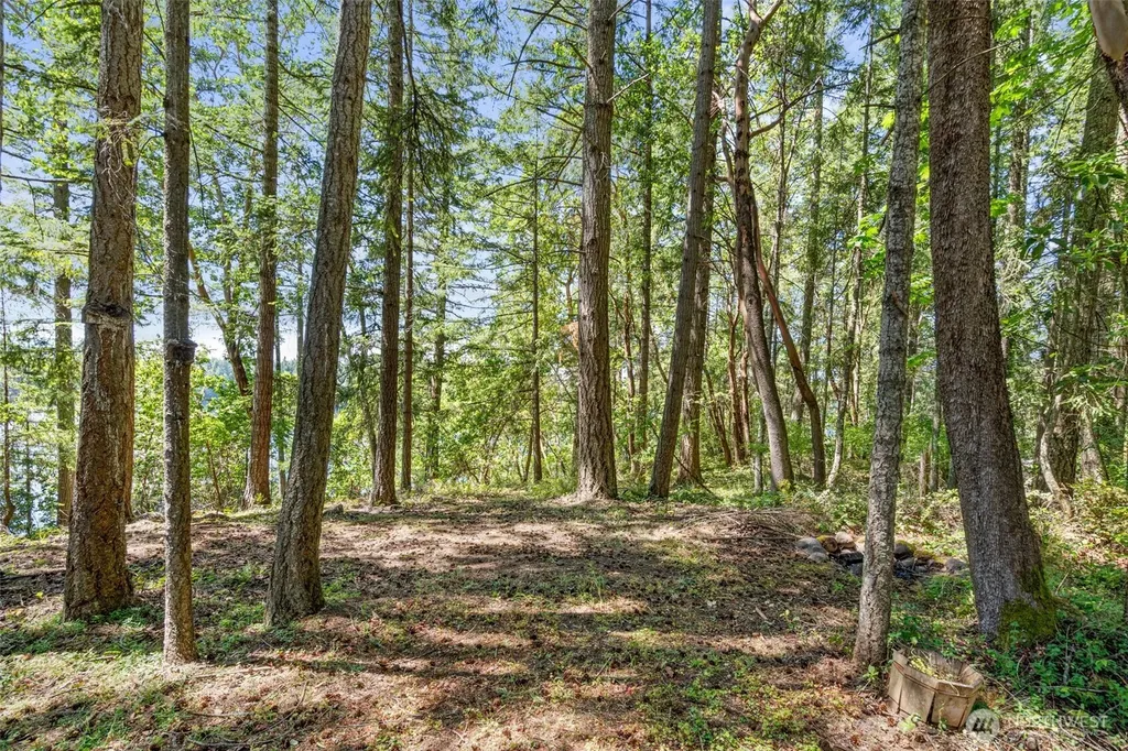 18105 Sundown Court SE Yelm WA 98597