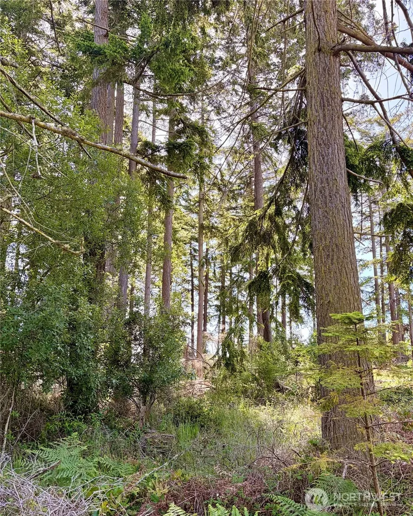 0 Old Cedar Lane Oak Harbor WA 98277