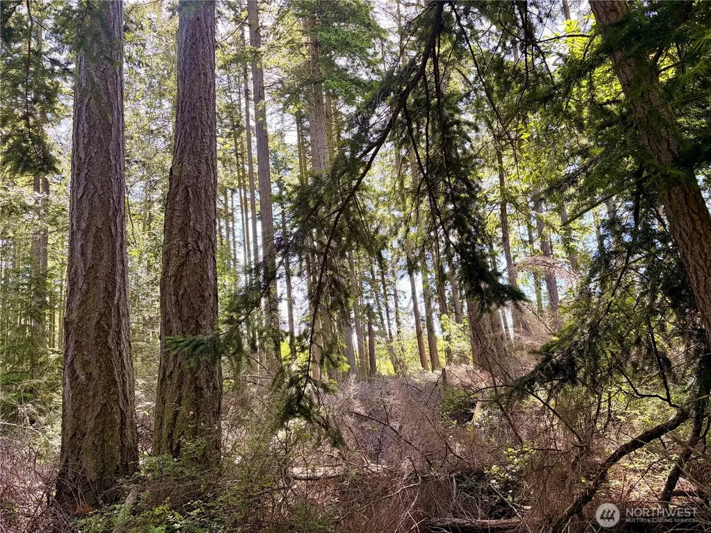 0 Old Cedar Lane Oak Harbor WA 98277
