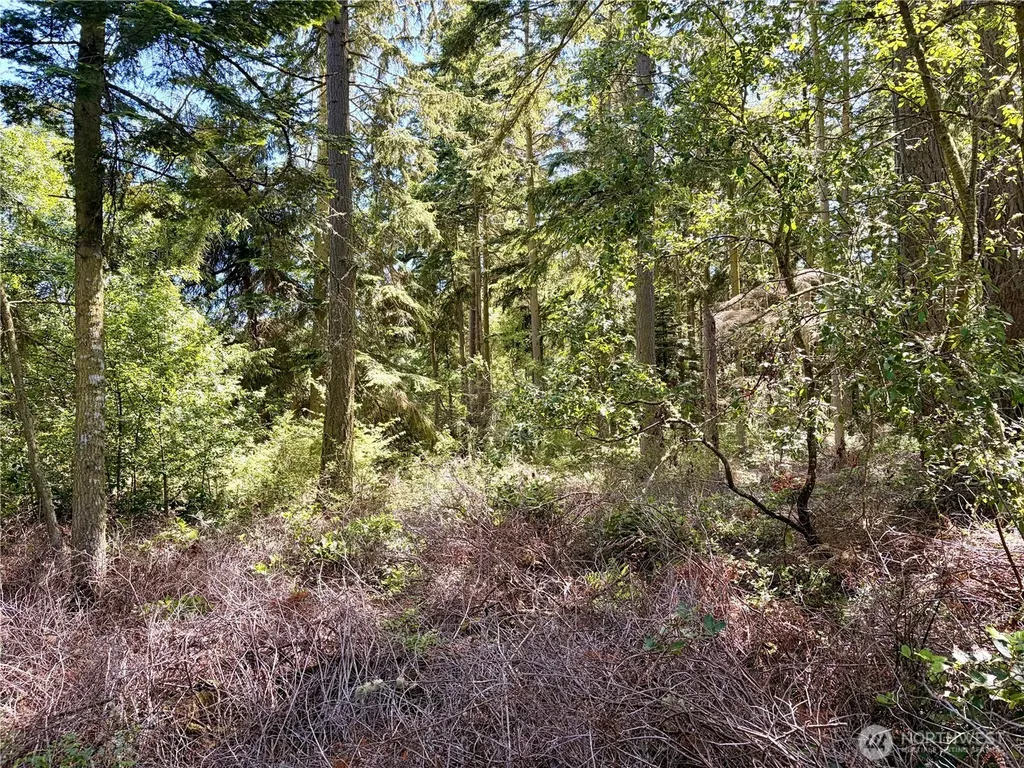 0 Old Cedar Lane Oak Harbor WA 98277