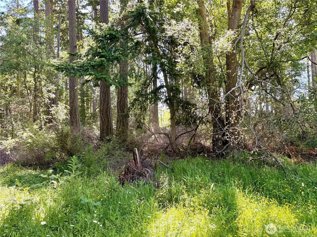 0 Old Cedar Lane Oak Harbor WA 98277