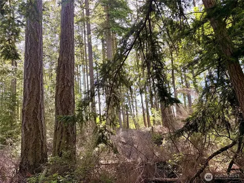 0 Old Cedar Lane Oak Harbor WA 98277