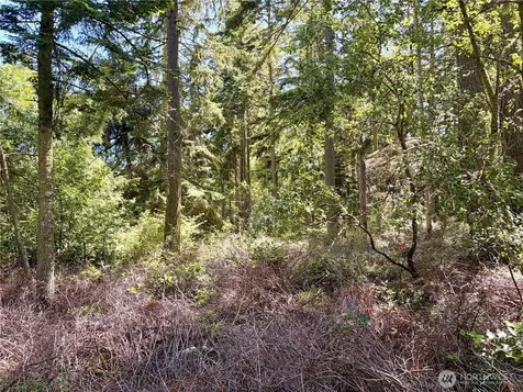 0 Old Cedar Lane Oak Harbor WA 98277