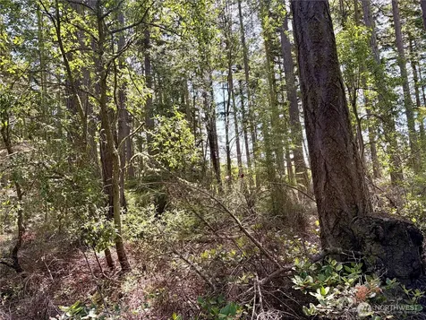 0 Old Cedar Lane Oak Harbor WA 98277