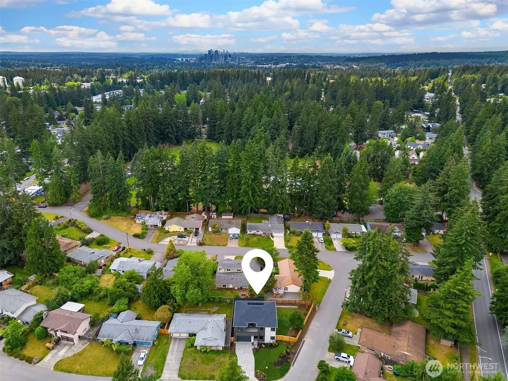1255 169th Avenue NE Bellevue WA 98008