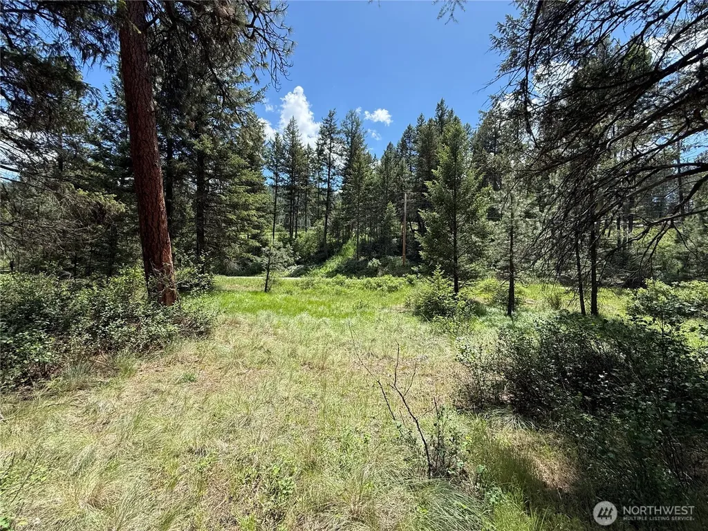 21 Pine Grove Street Republic WA 99166