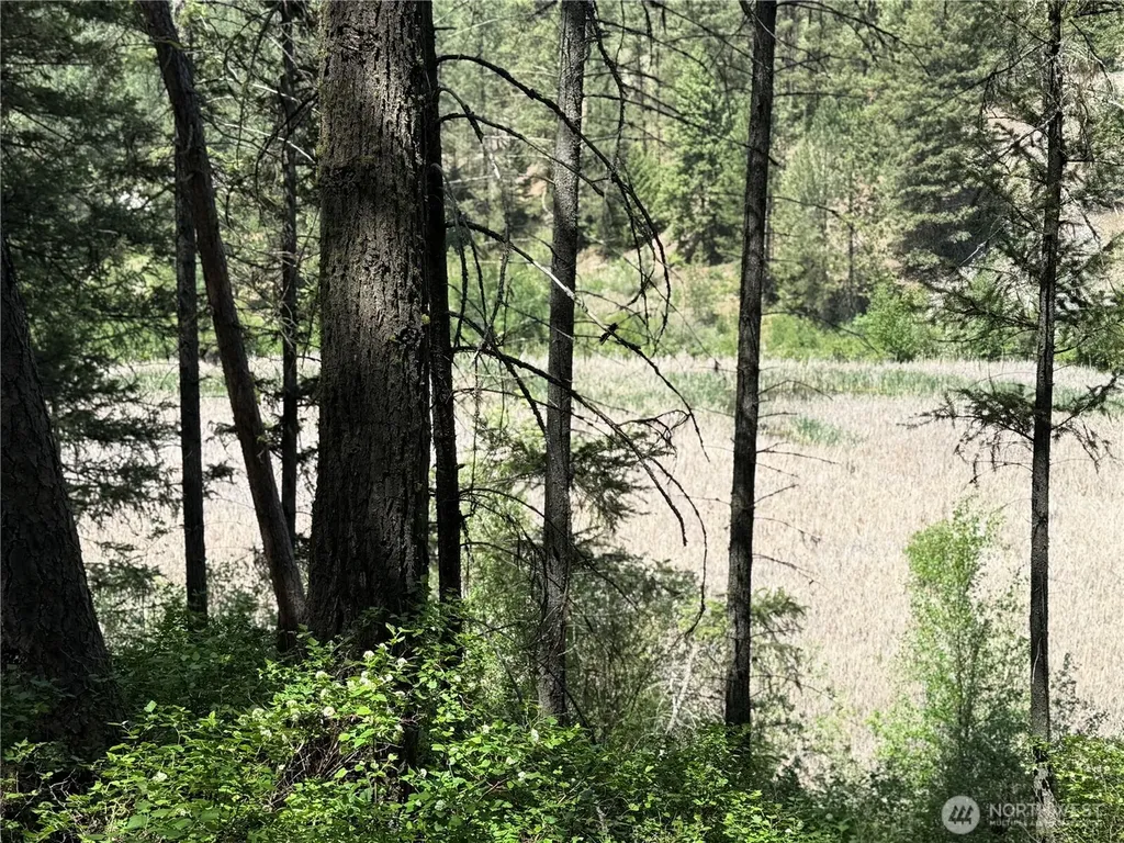 21 Pine Grove Street Republic WA 99166