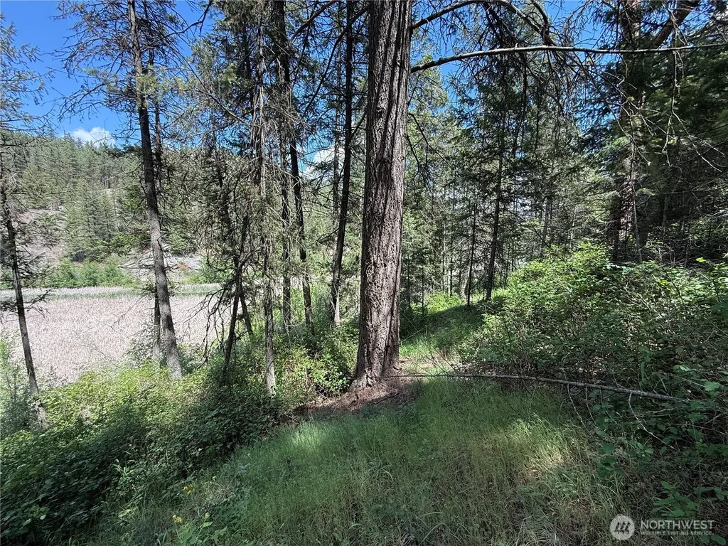 21 Pine Grove Street Republic WA 99166