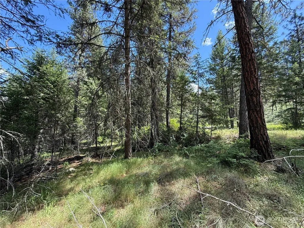 21 Pine Grove Street Republic WA 99166