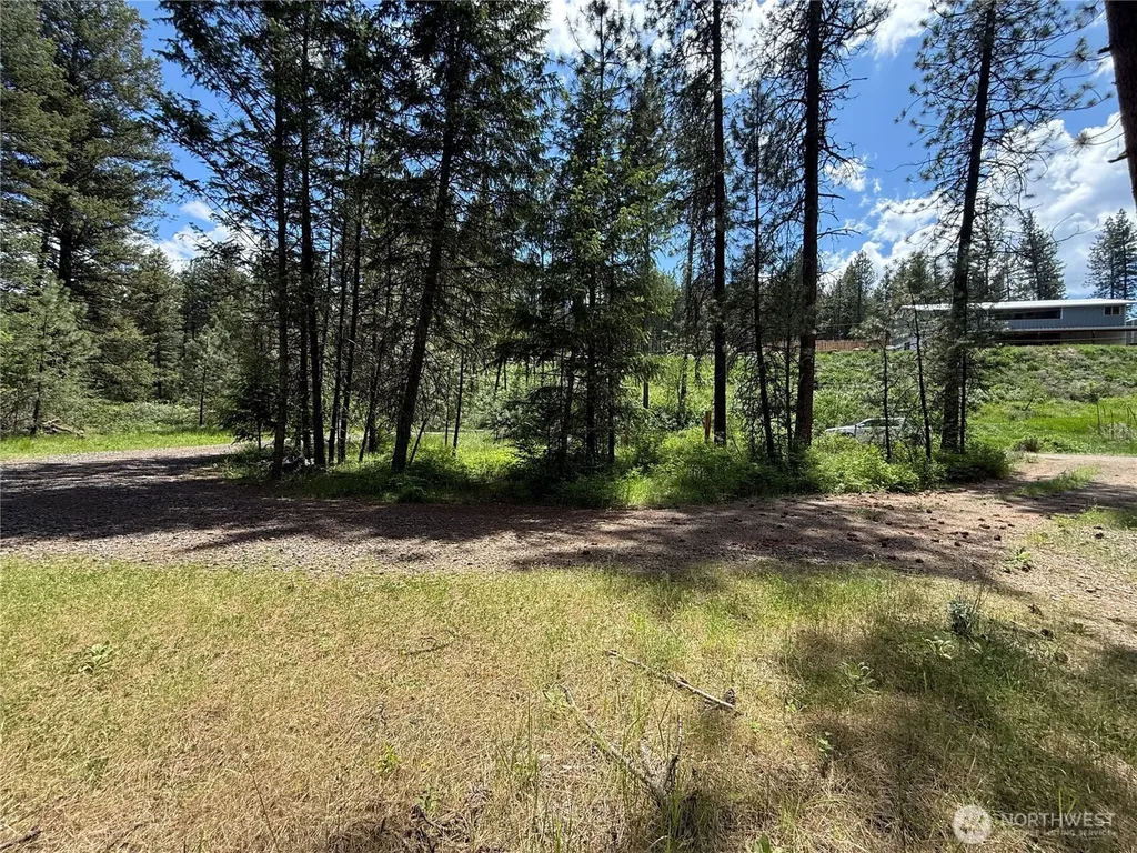 21 Pine Grove Street Republic WA 99166