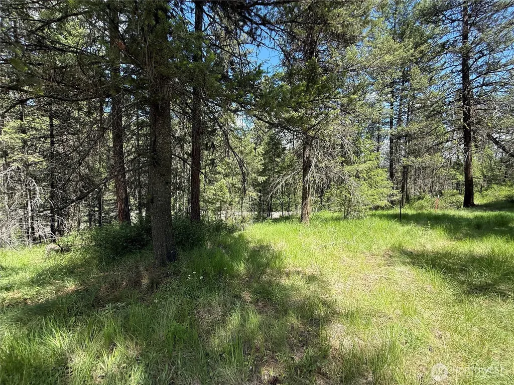 21 Pine Grove Street Republic WA 99166