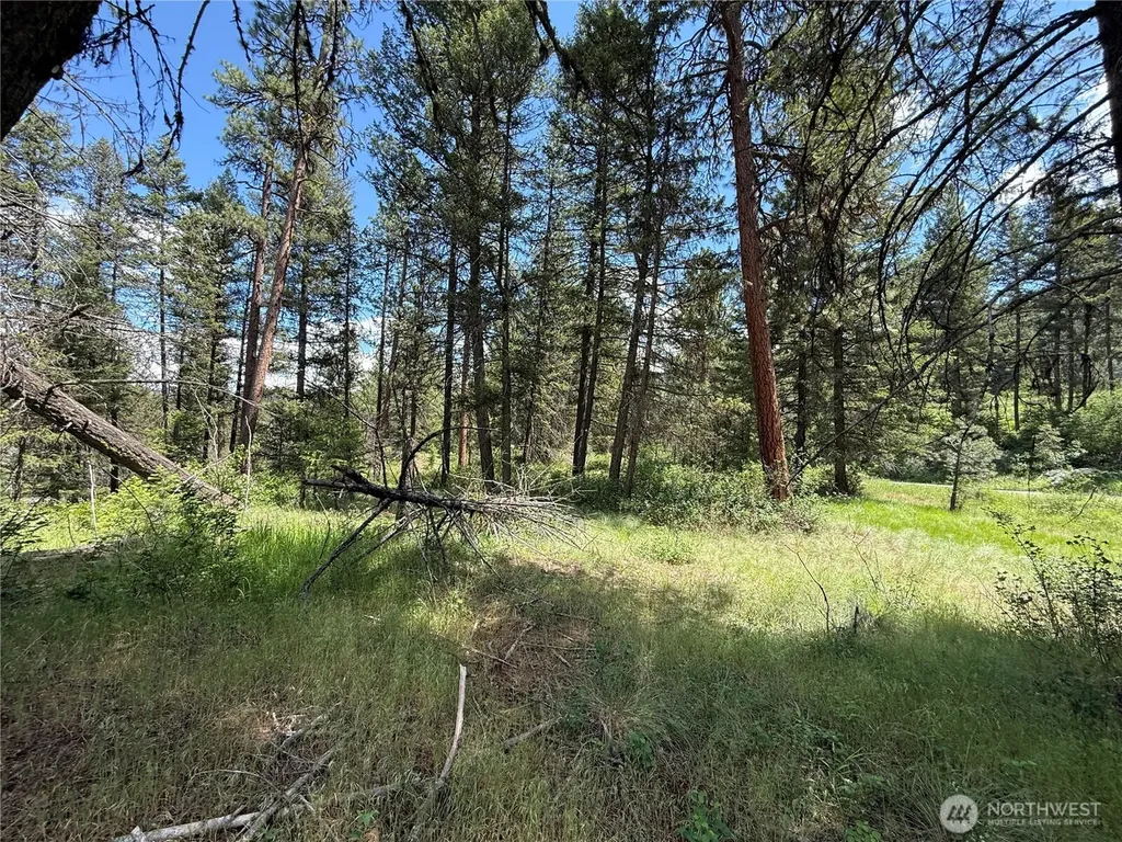 21 Pine Grove Street Republic WA 99166