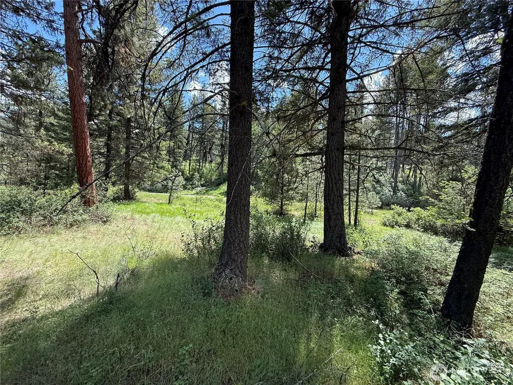21 Pine Grove Street Republic WA 99166