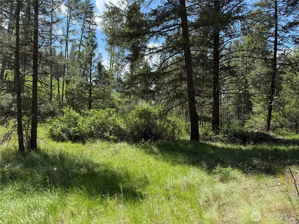 21 Pine Grove Street Republic WA 99166