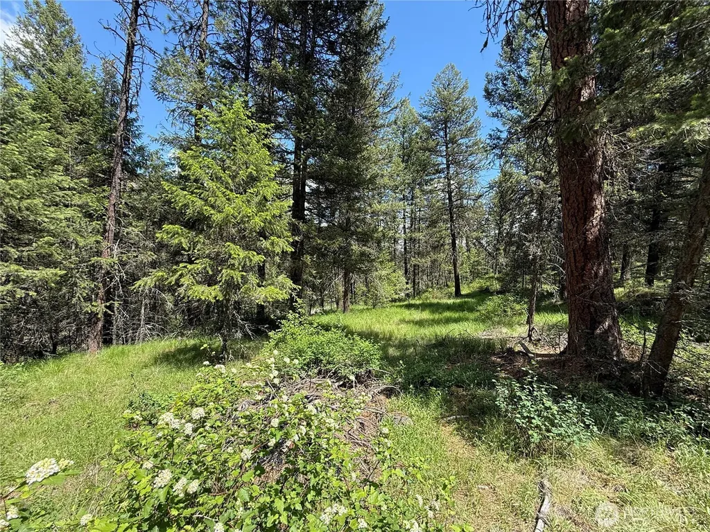 21 Pine Grove Street Republic WA 99166