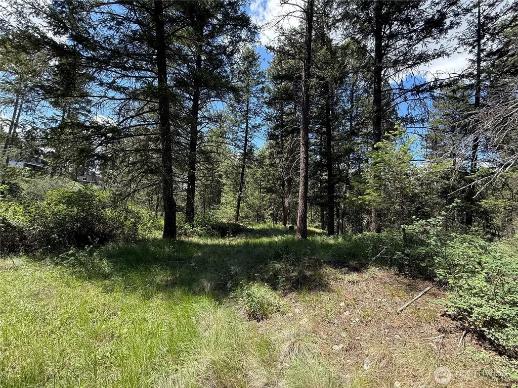 21 Pine Grove Street Republic WA 99166