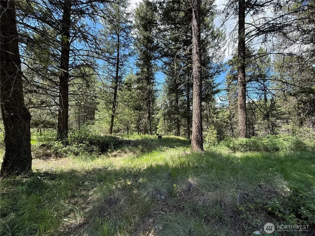 21 Pine Grove Street Republic WA 99166