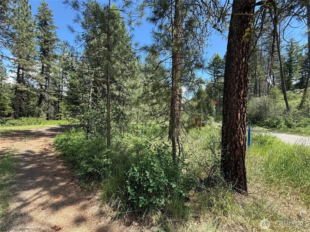 21 Pine Grove Street Republic WA 99166