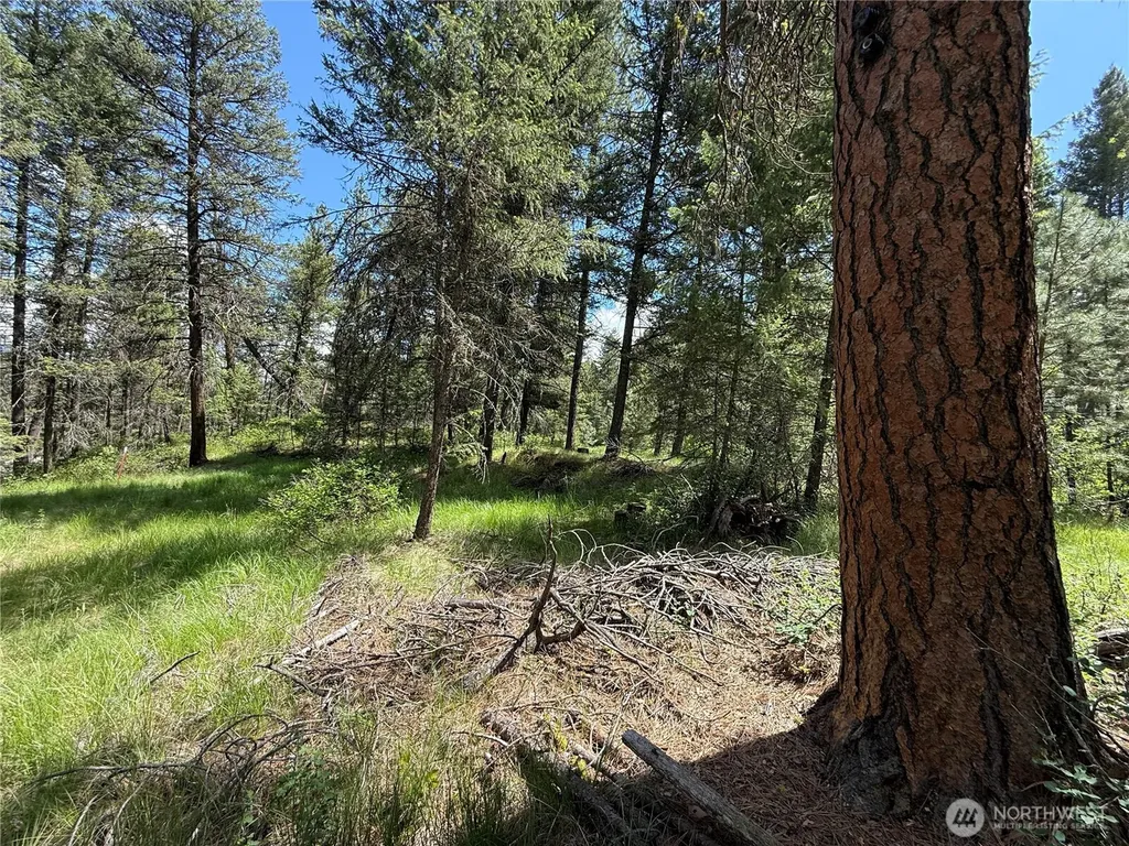 21 Pine Grove Street Republic WA 99166