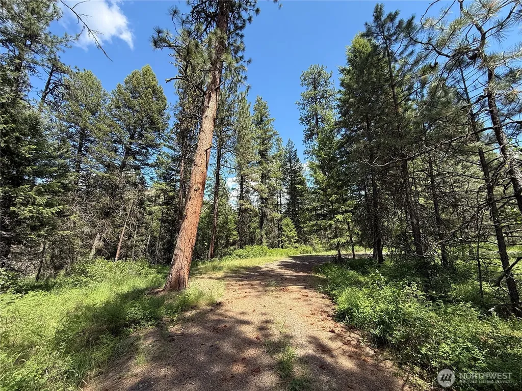 21 Pine Grove Street Republic WA 99166