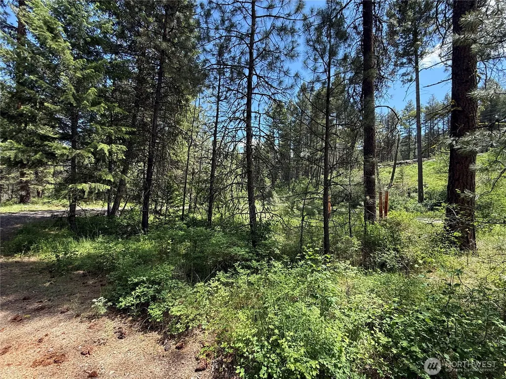 21 Pine Grove Street Republic WA 99166
