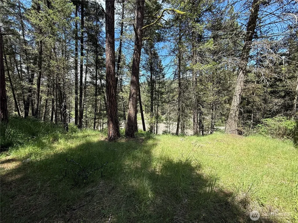 21 Pine Grove Street Republic WA 99166