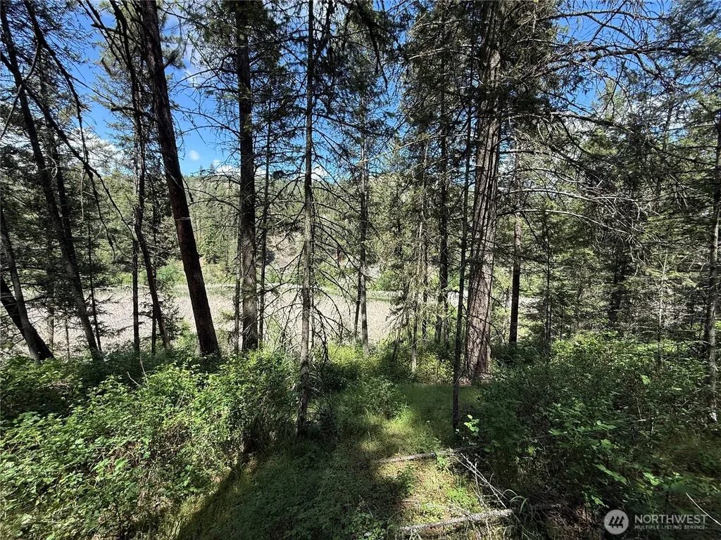 21 Pine Grove Street Republic WA 99166