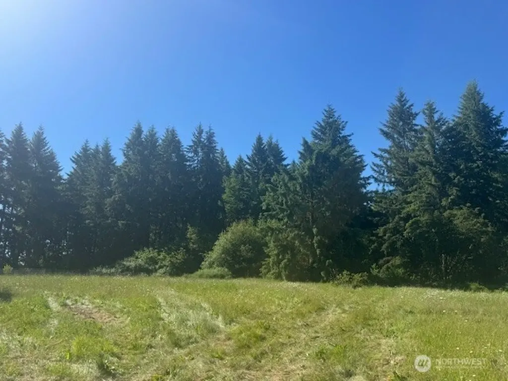 692 Burchett Road Onalaska WA 98570