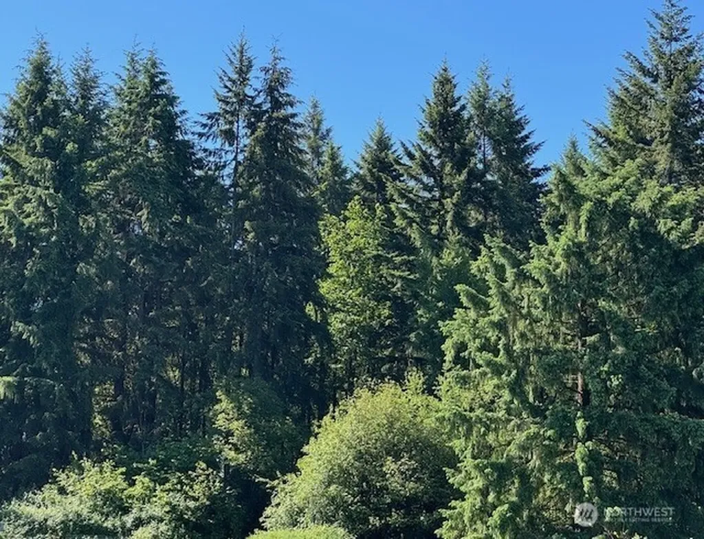 692 Burchett Road Onalaska WA 98570
