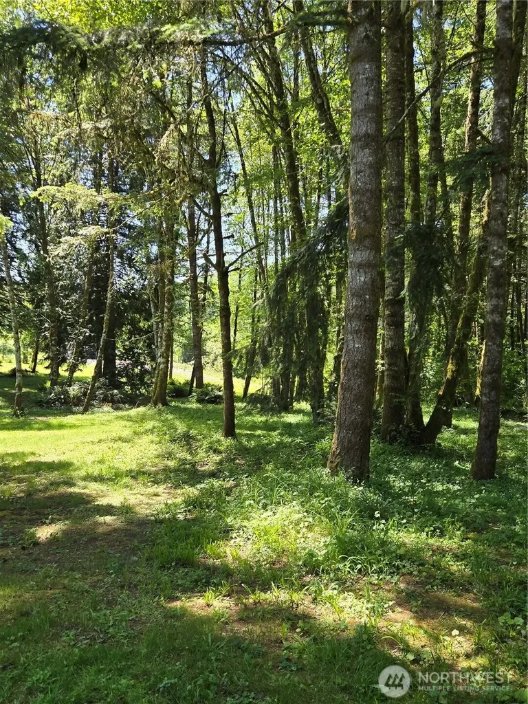 147 Tara Lane Vader WA 98593
