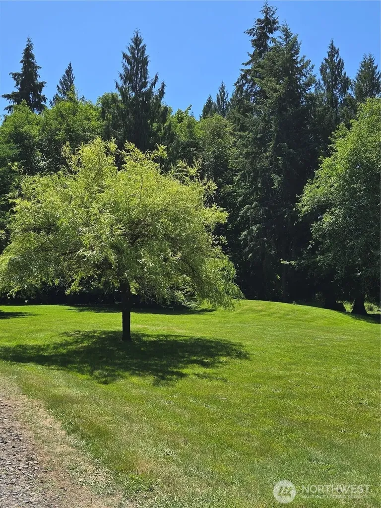 147 Tara Lane Vader WA 98593