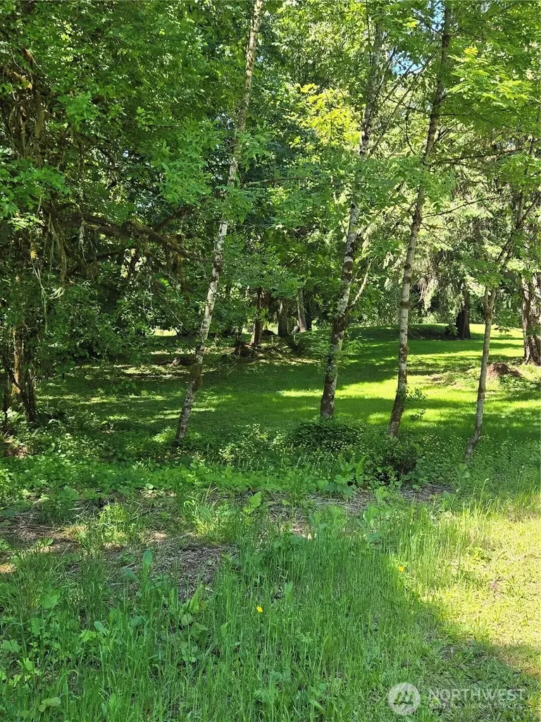 147 Tara Lane Vader WA 98593