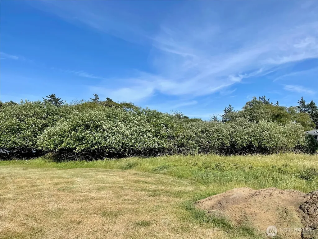 301 Octopus Avenue NE Ocean Shores WA 98569