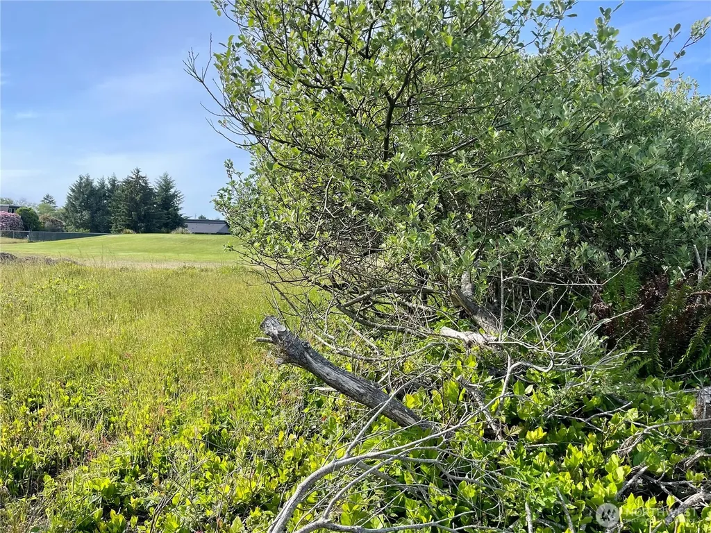 301 Octopus Avenue NE Ocean Shores WA 98569