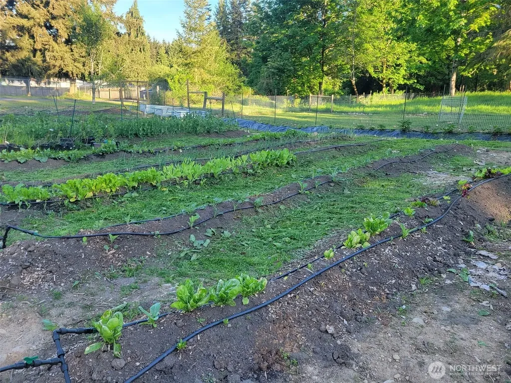 13013 224th Street E Graham WA 98338