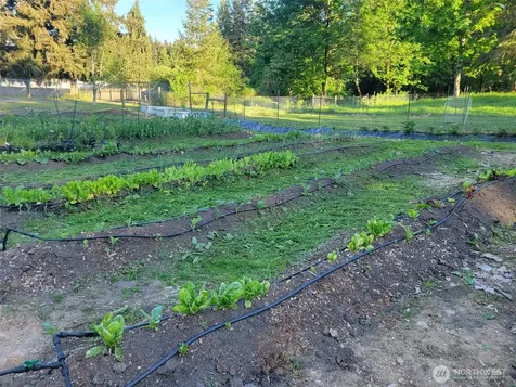 13013 224th Street E Graham WA 98338